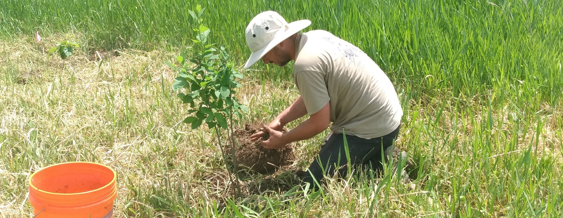Watershed Volunteer Fridays | 8:30 am - 11:30 am